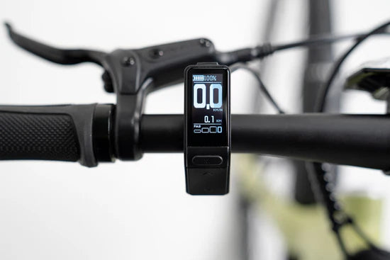 Vélo électrique Tenways CGO600 Pro