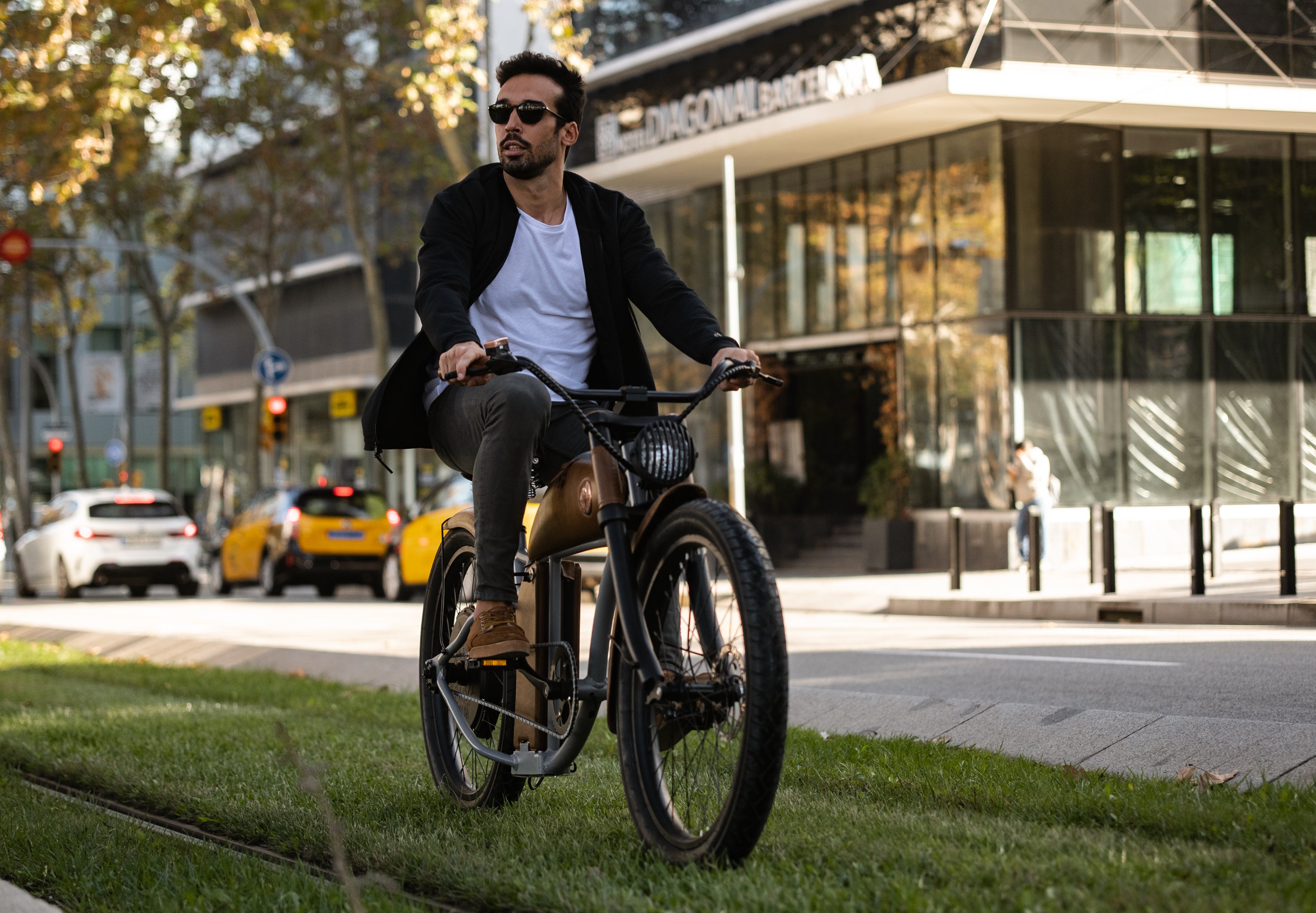 Vélo électrique Rayvolt Cruzer Noir
