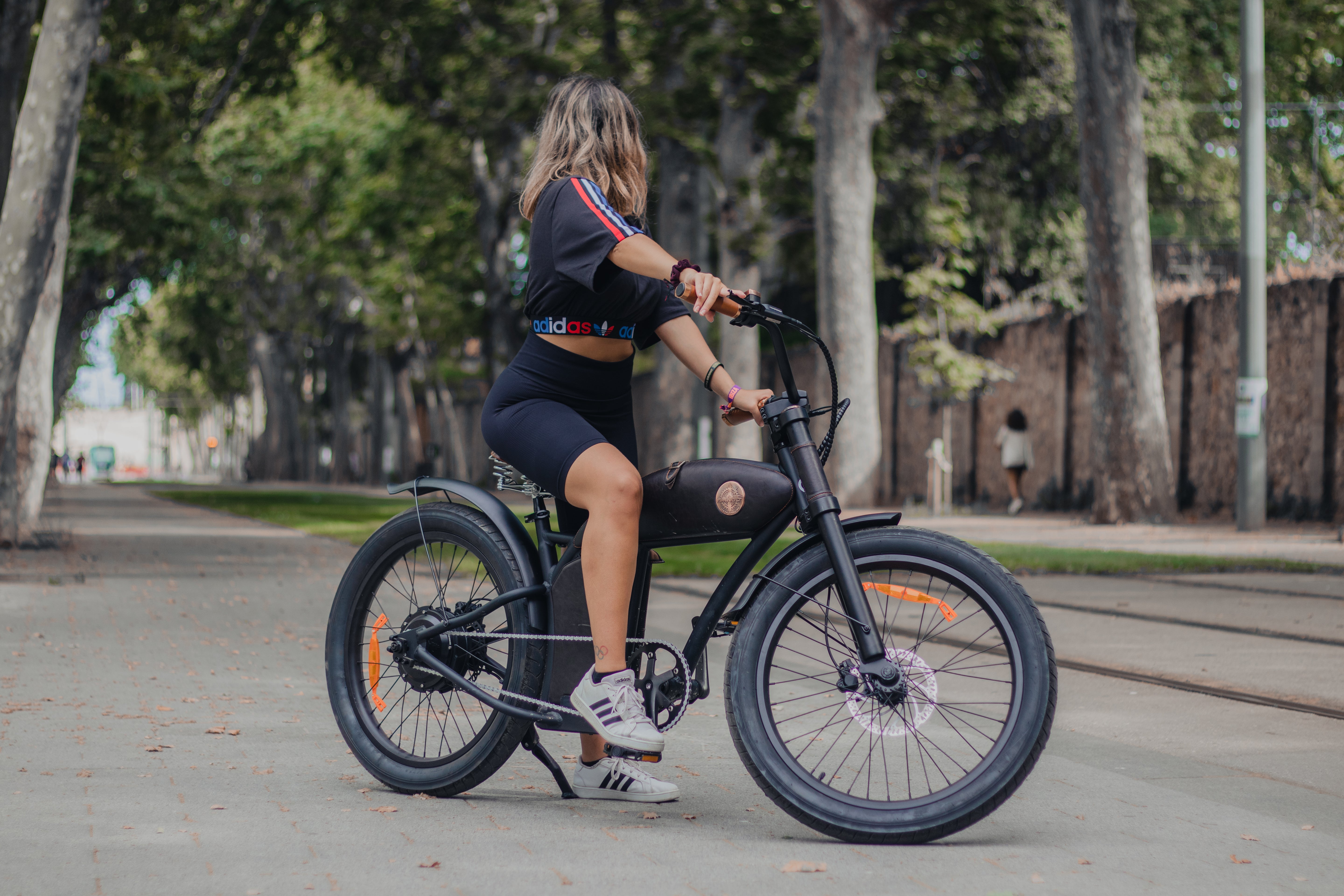 Vélo électrique Rayvolt Cruzer Noir