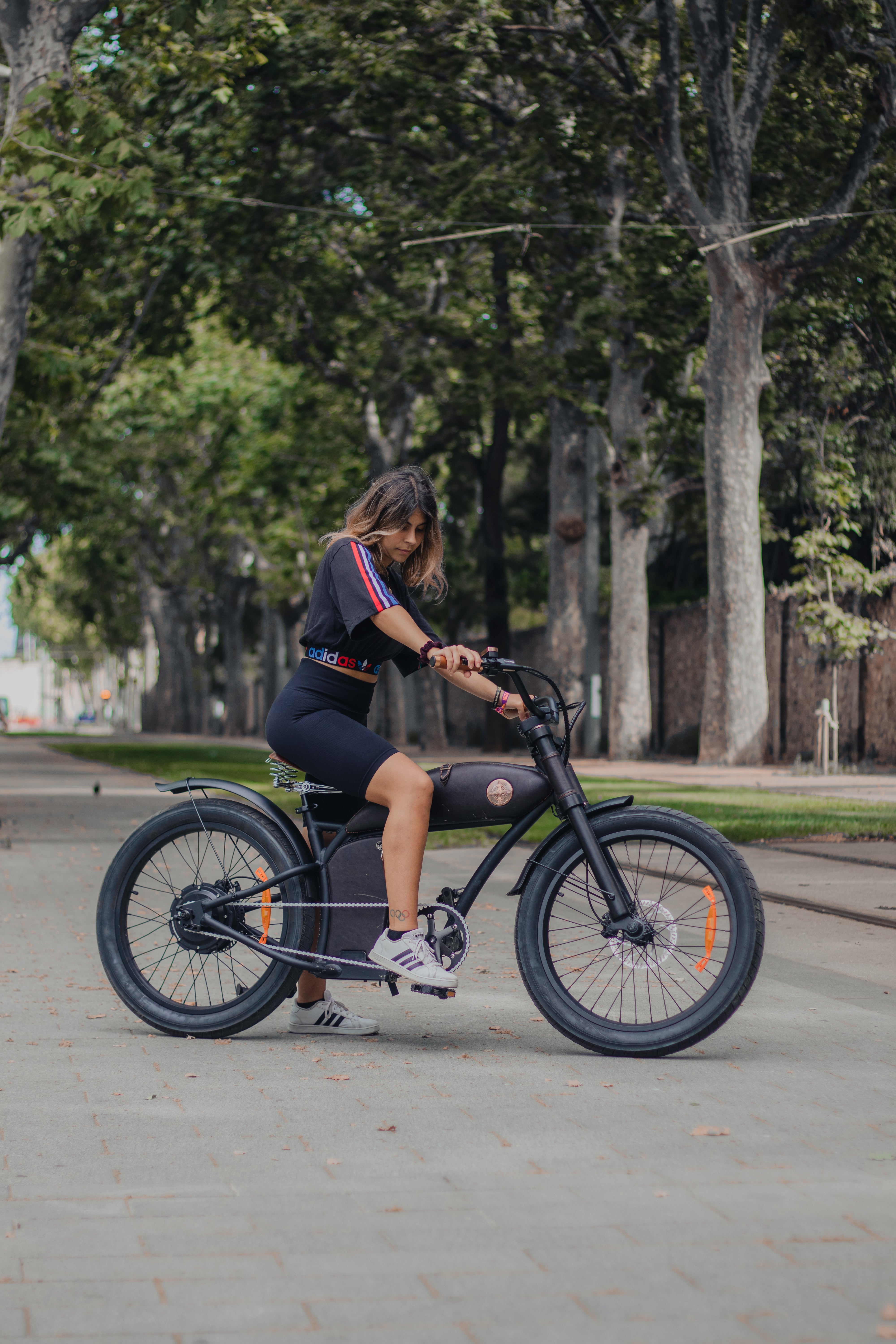 Vélo électrique Rayvolt Cruzer Noir