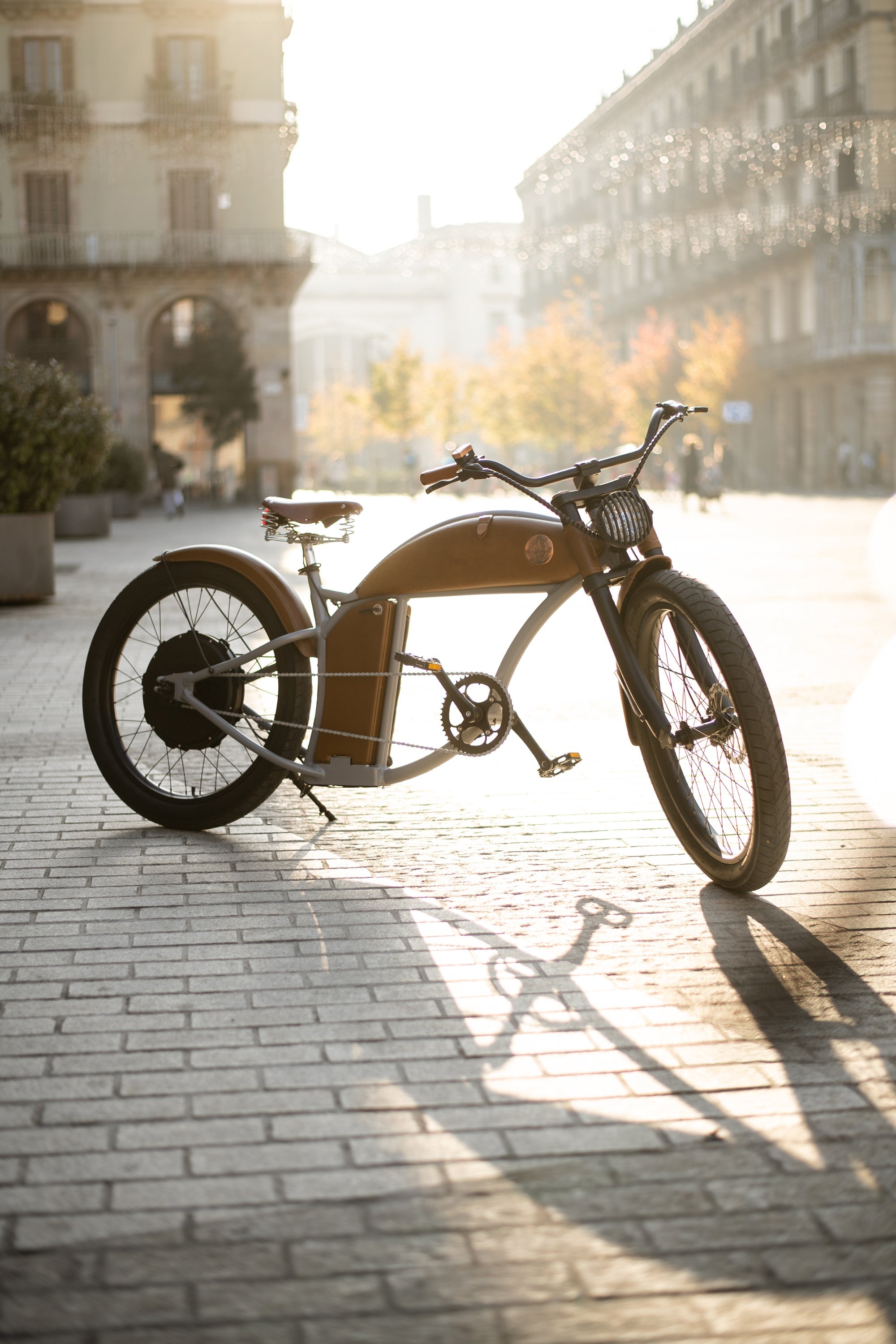 VÉLOS ÉLECTRIQUES