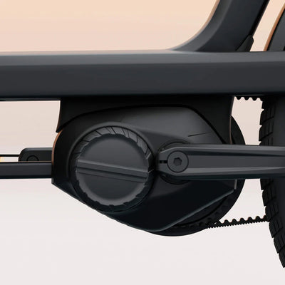 Vélo électrique Tenways Cargo One