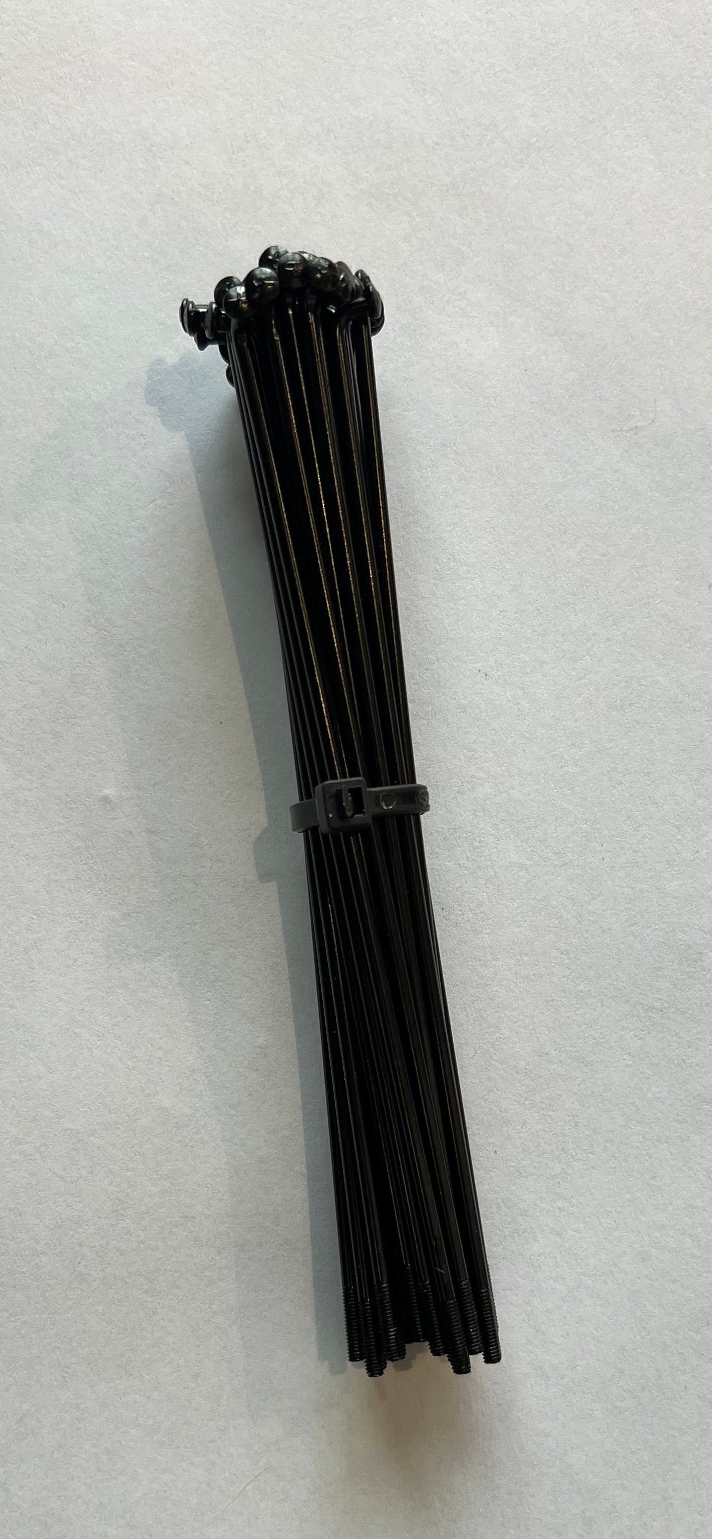 Lot de 36 rayons roue Avant XS