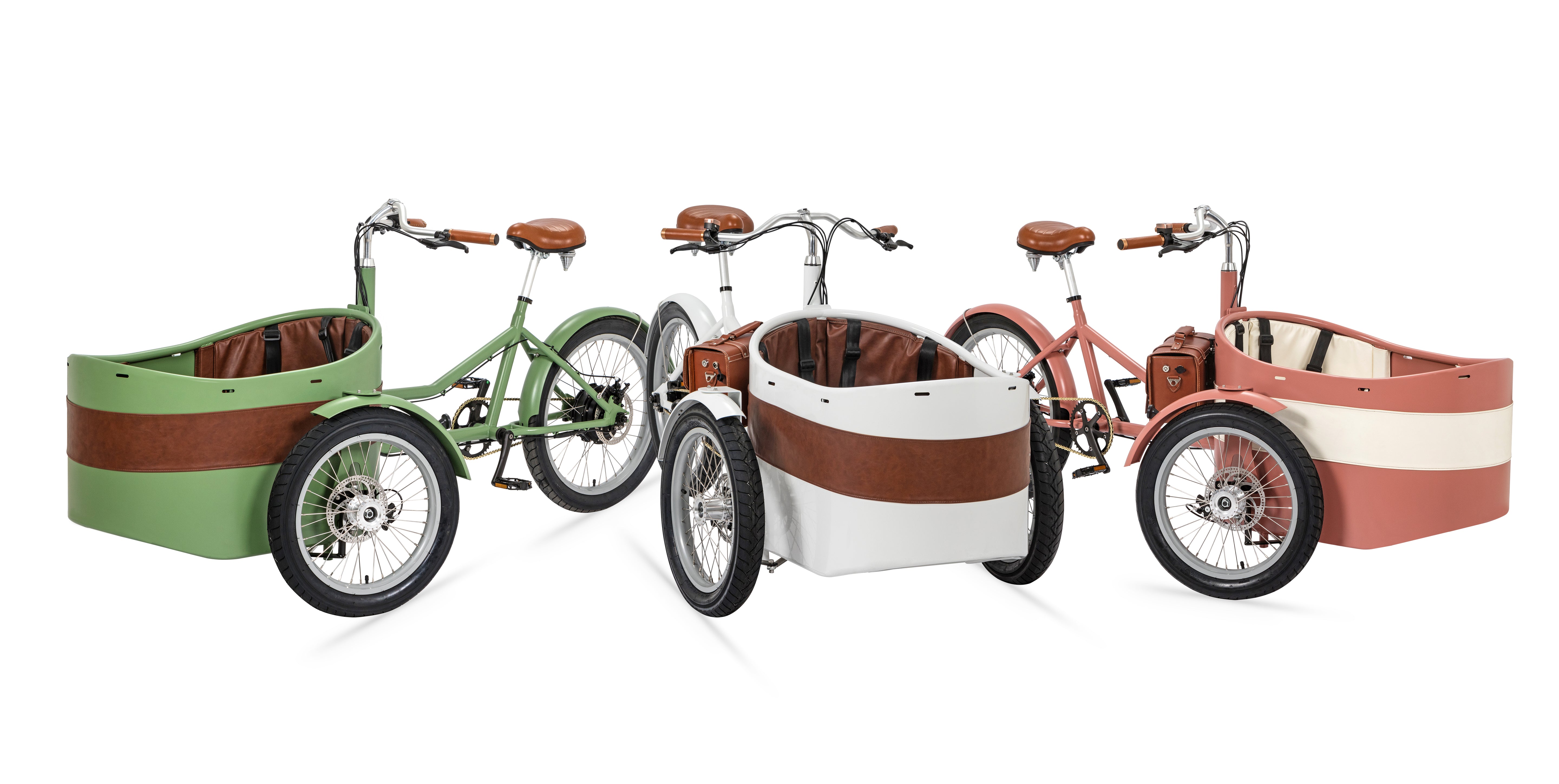 Vélo cargo électrique Rayvolt Trixie Vert