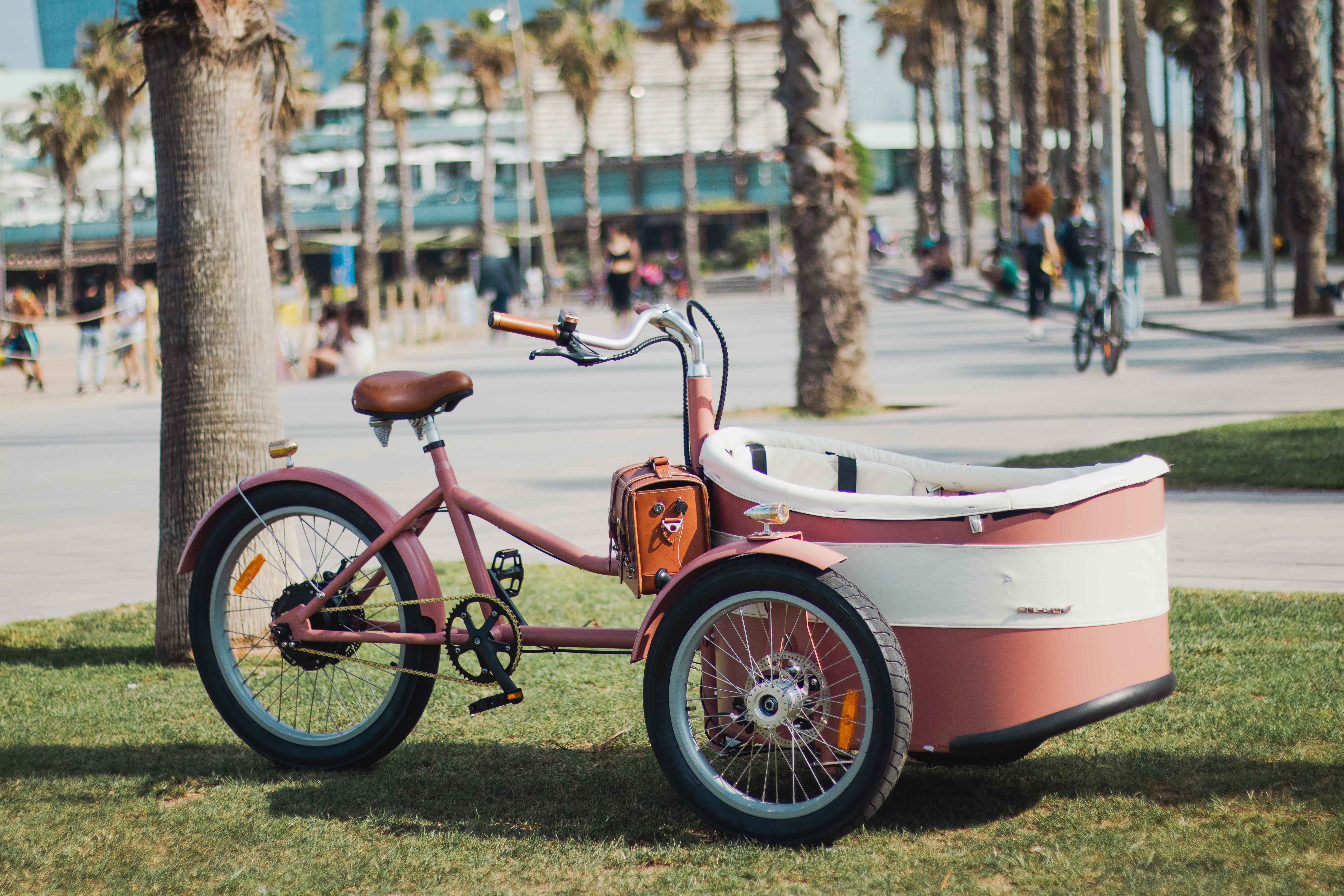 Vélo cargo électrique Rayvolt Trixie Rose