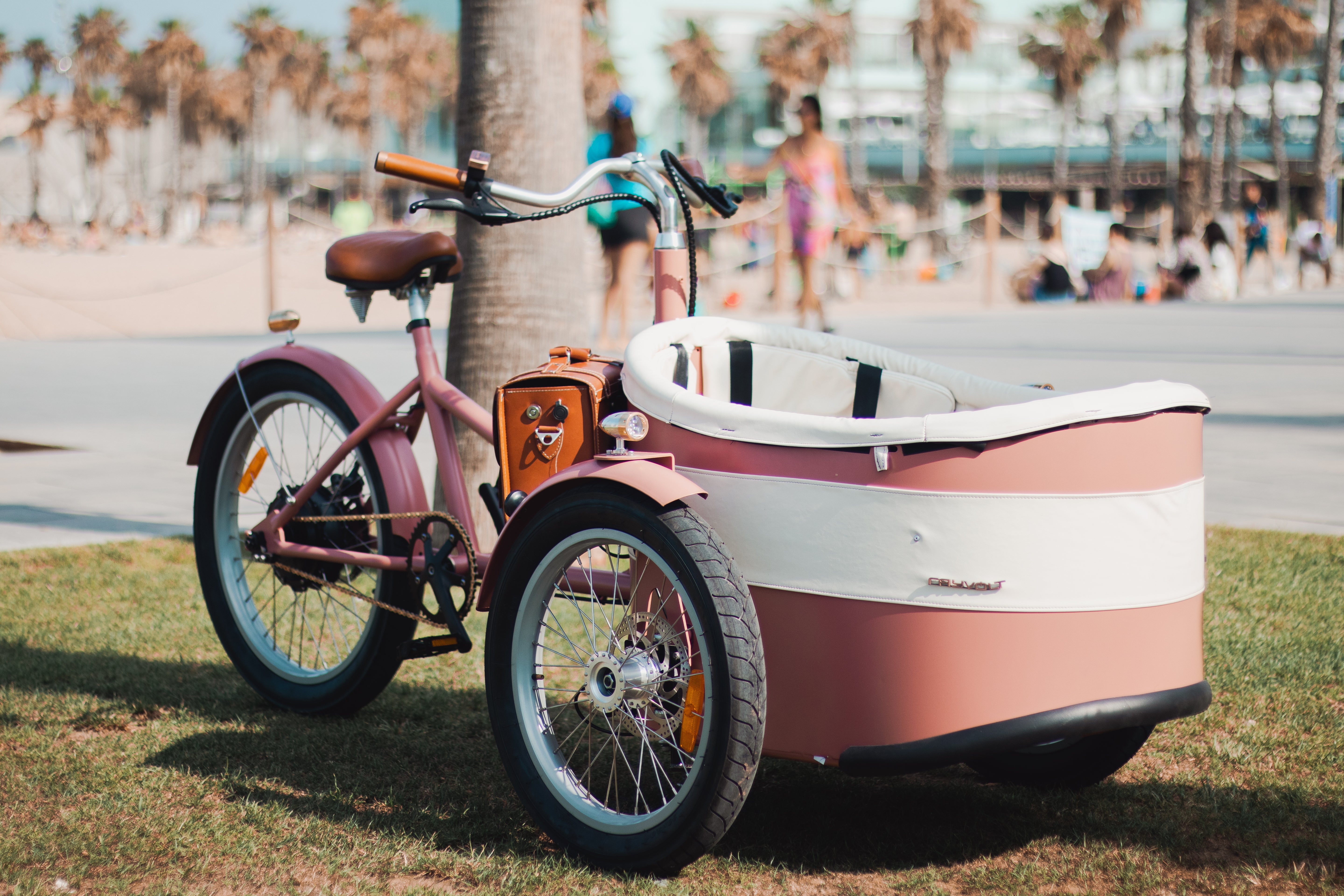 Vélo cargo électrique Rayvolt Trixie Rose