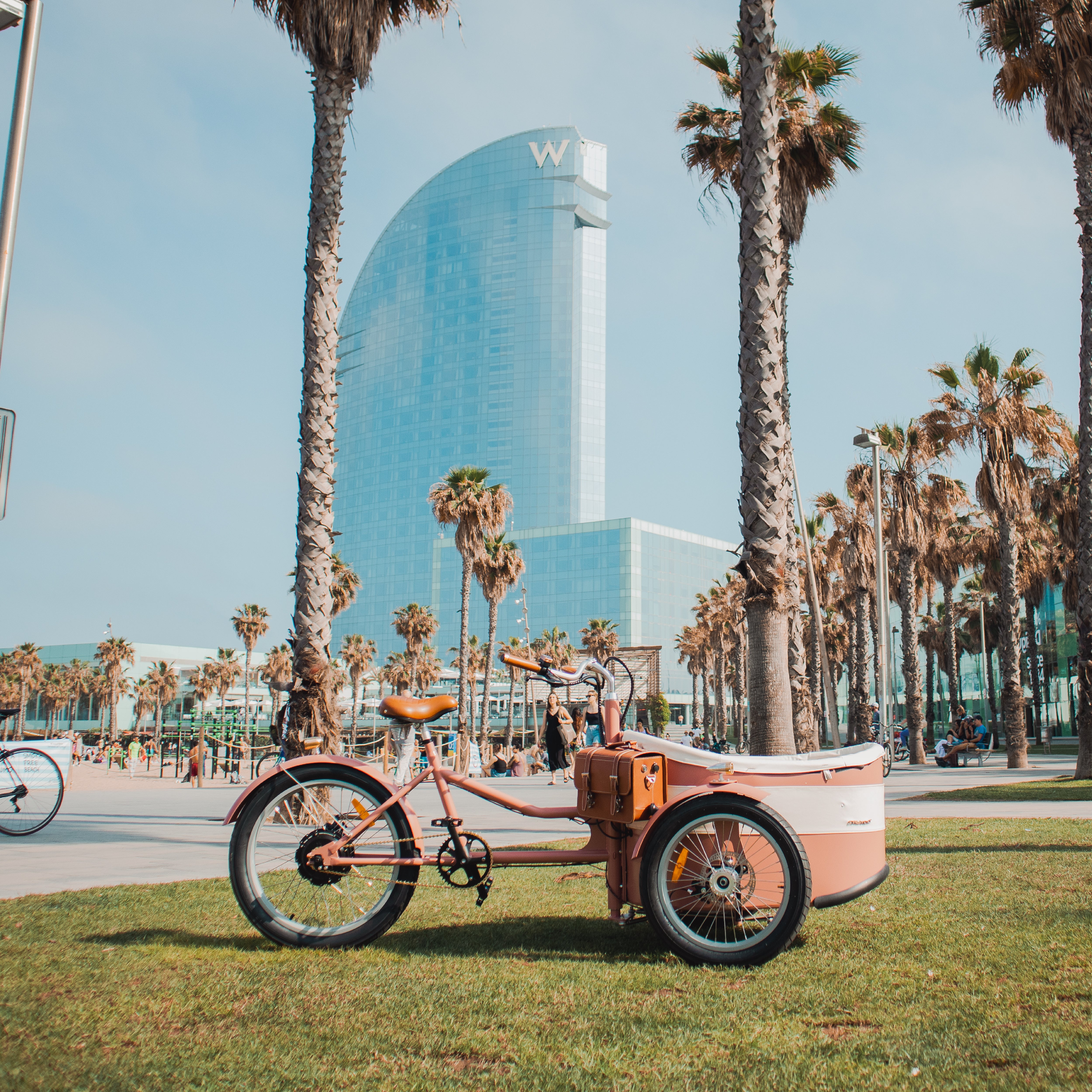 Vélo cargo électrique Rayvolt Trixie Rose
