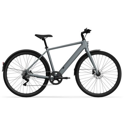 Vélo électrique Tenways CGO600 Plus gris, vue de profil