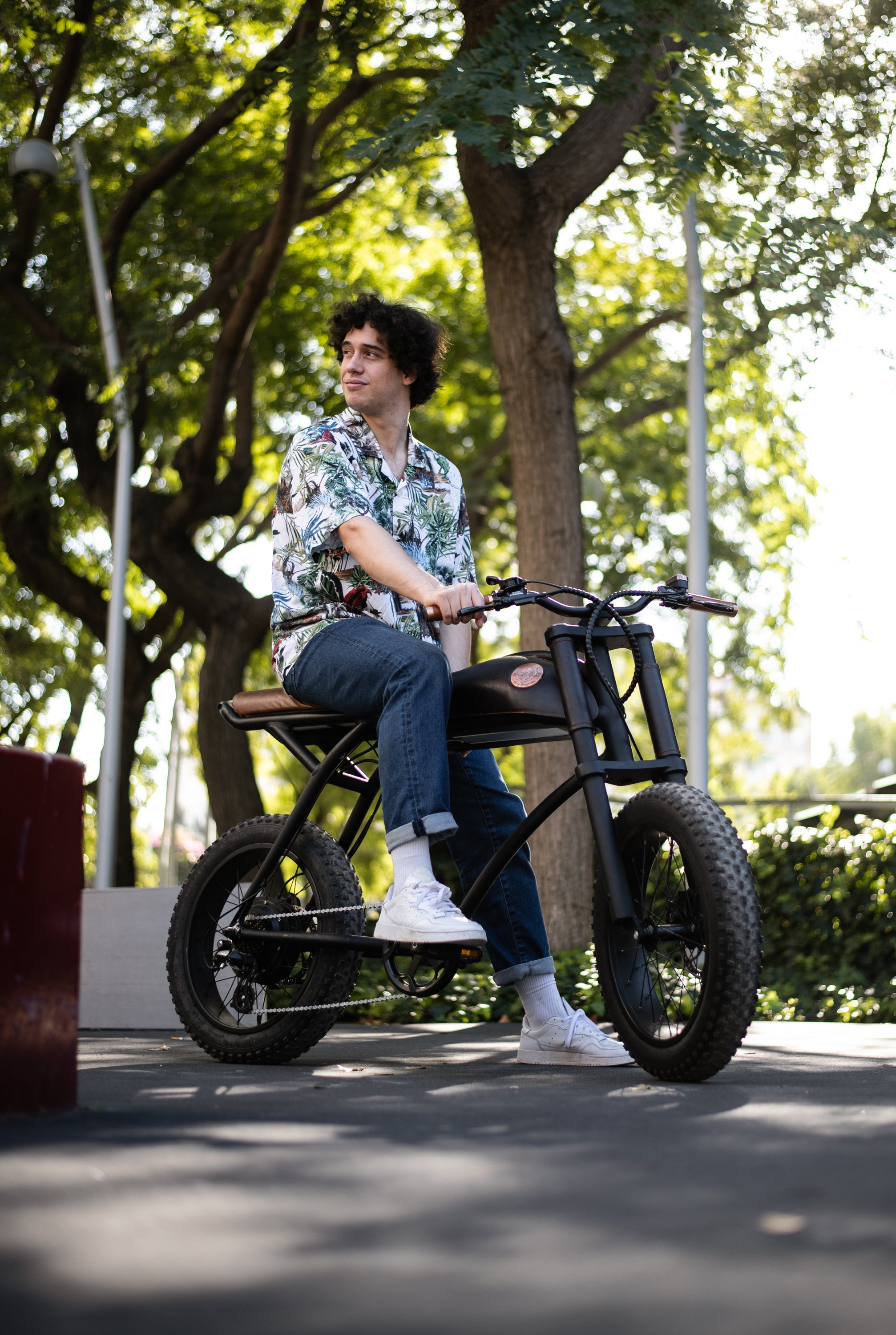 Ringo Rayvolt Black Electric Bike