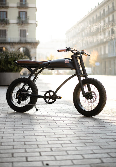 Vélo électrique Ringo Rayvolt Noir