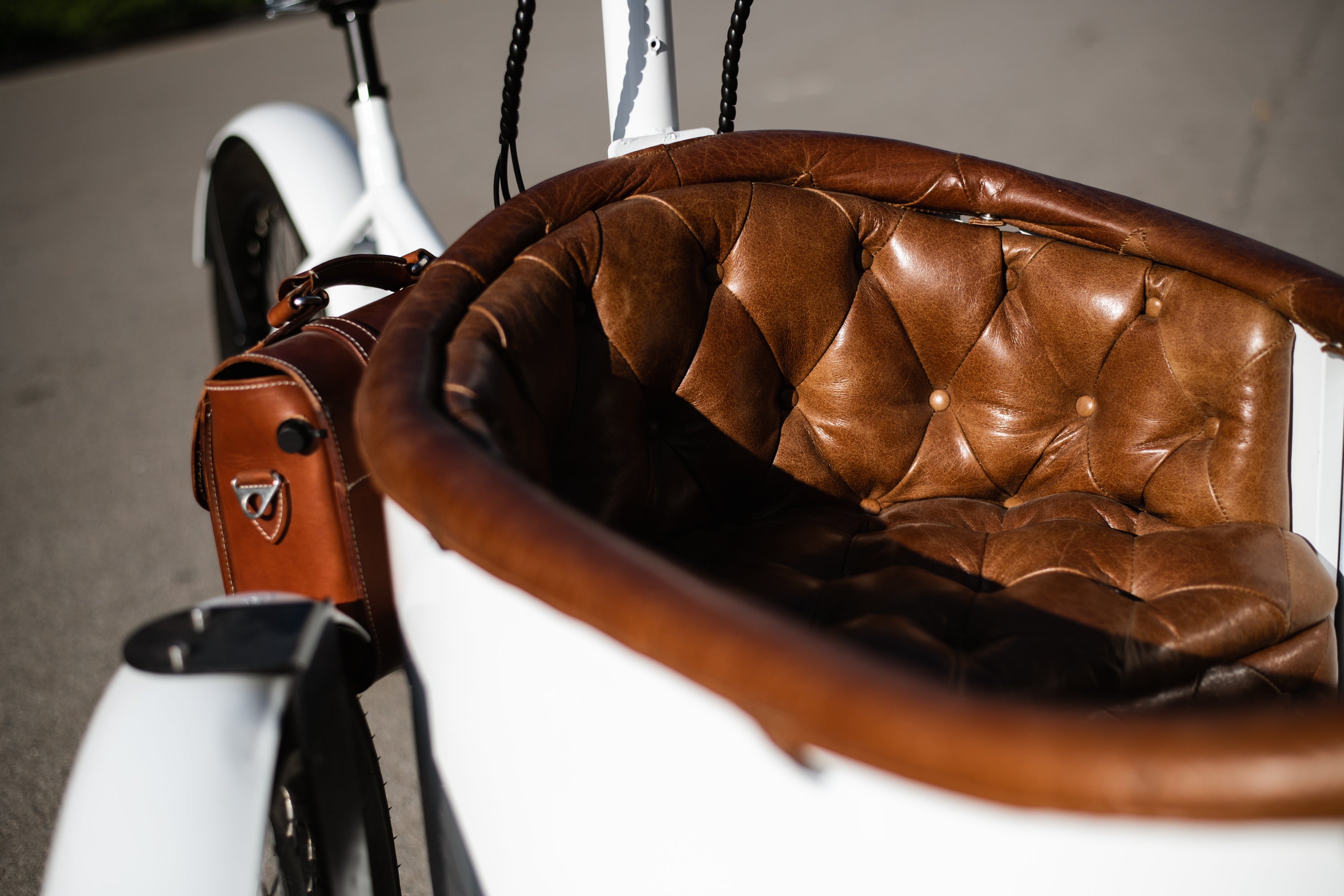 Vélo cargo électrique Rayvolt Trixie Blanc