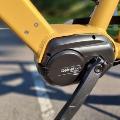 Reine Bike Connect Blue Electric Bike