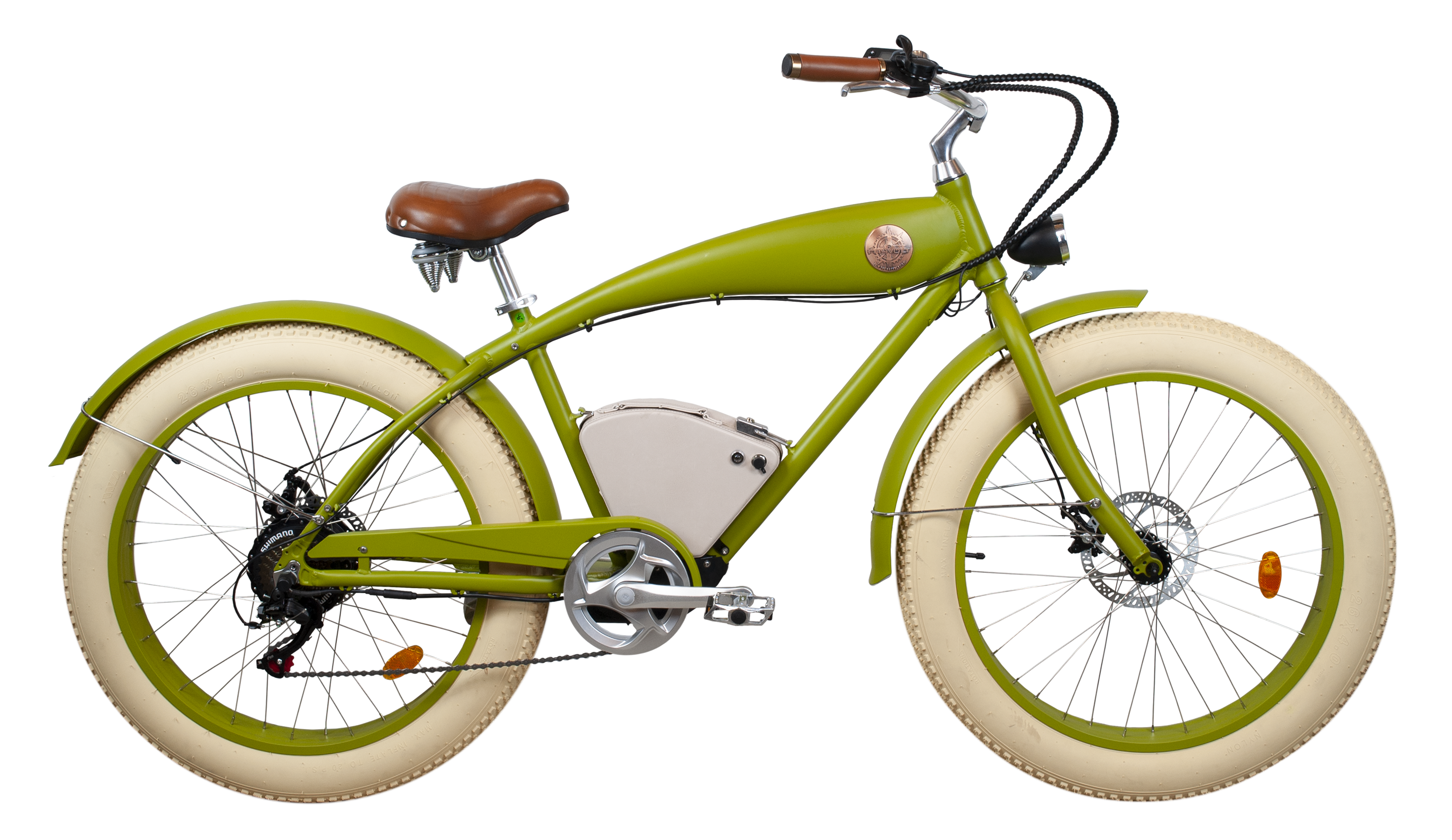 Vélo électrique Beachin Rayvolt Vert
