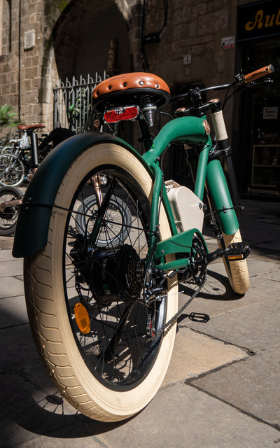 Rayvolt Cruzer Green Electric Bike