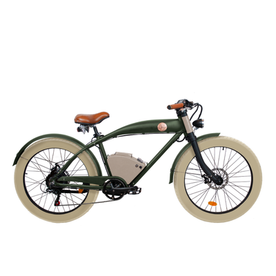 Vélo électrique Rayvolt Clubman Vert