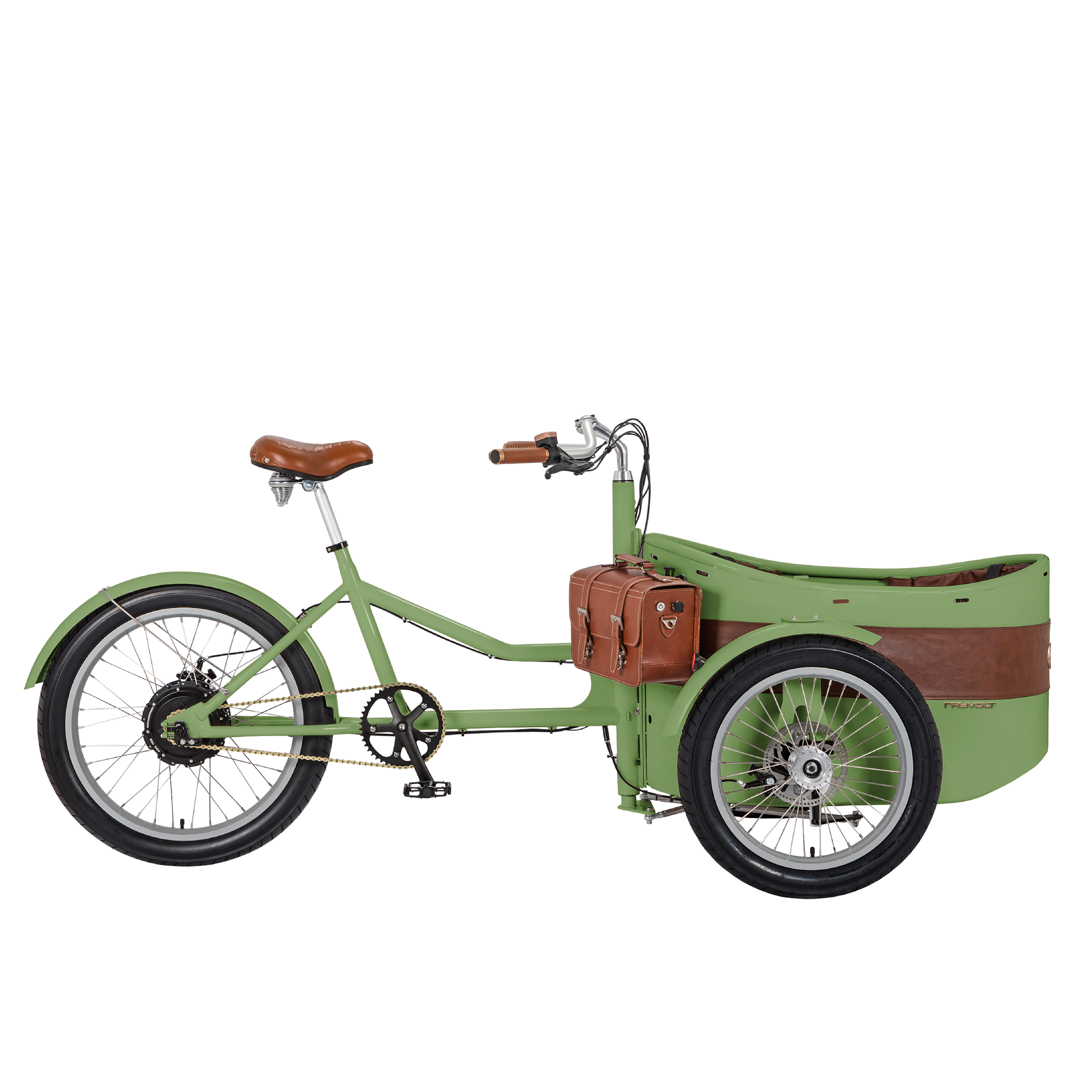 Rayvolt Trixie Green Electric Cargo Bike