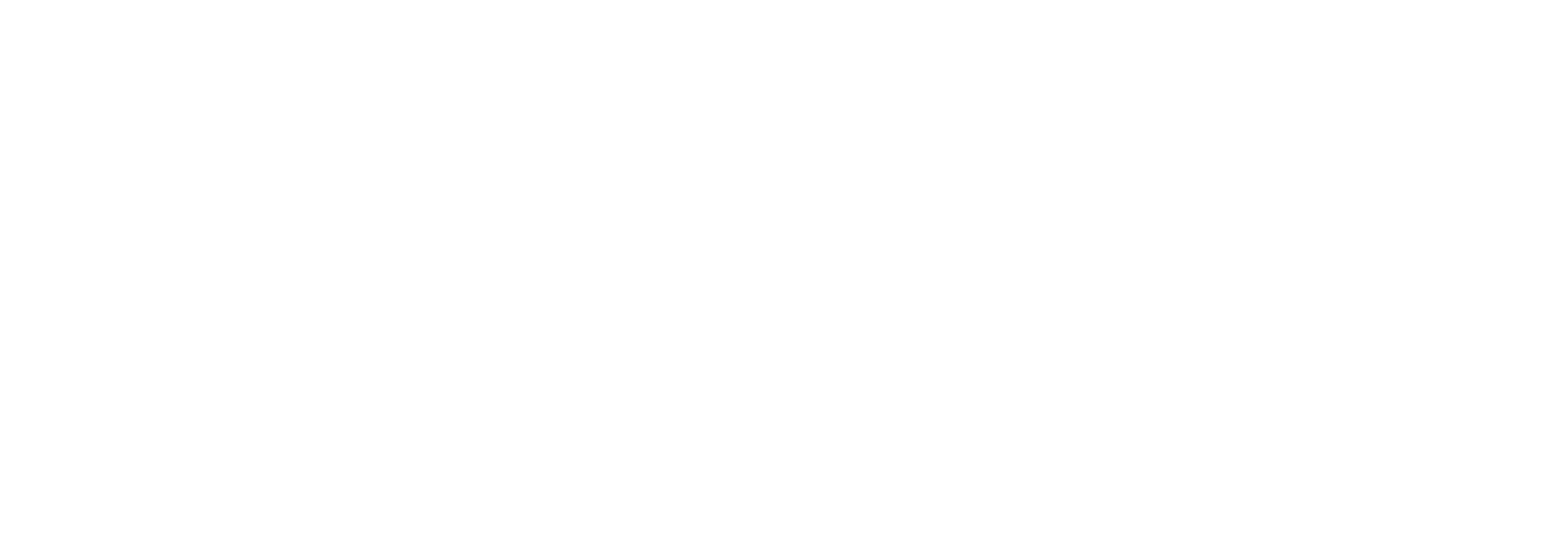 Logo Bottecchia blanc